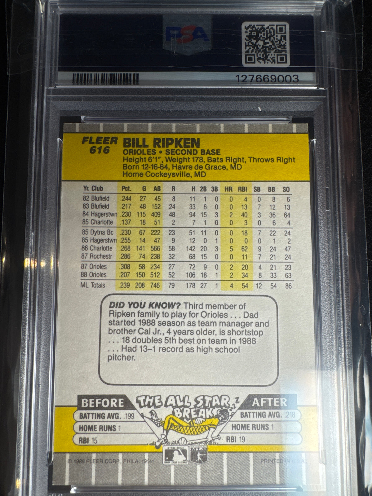Bill Ripken