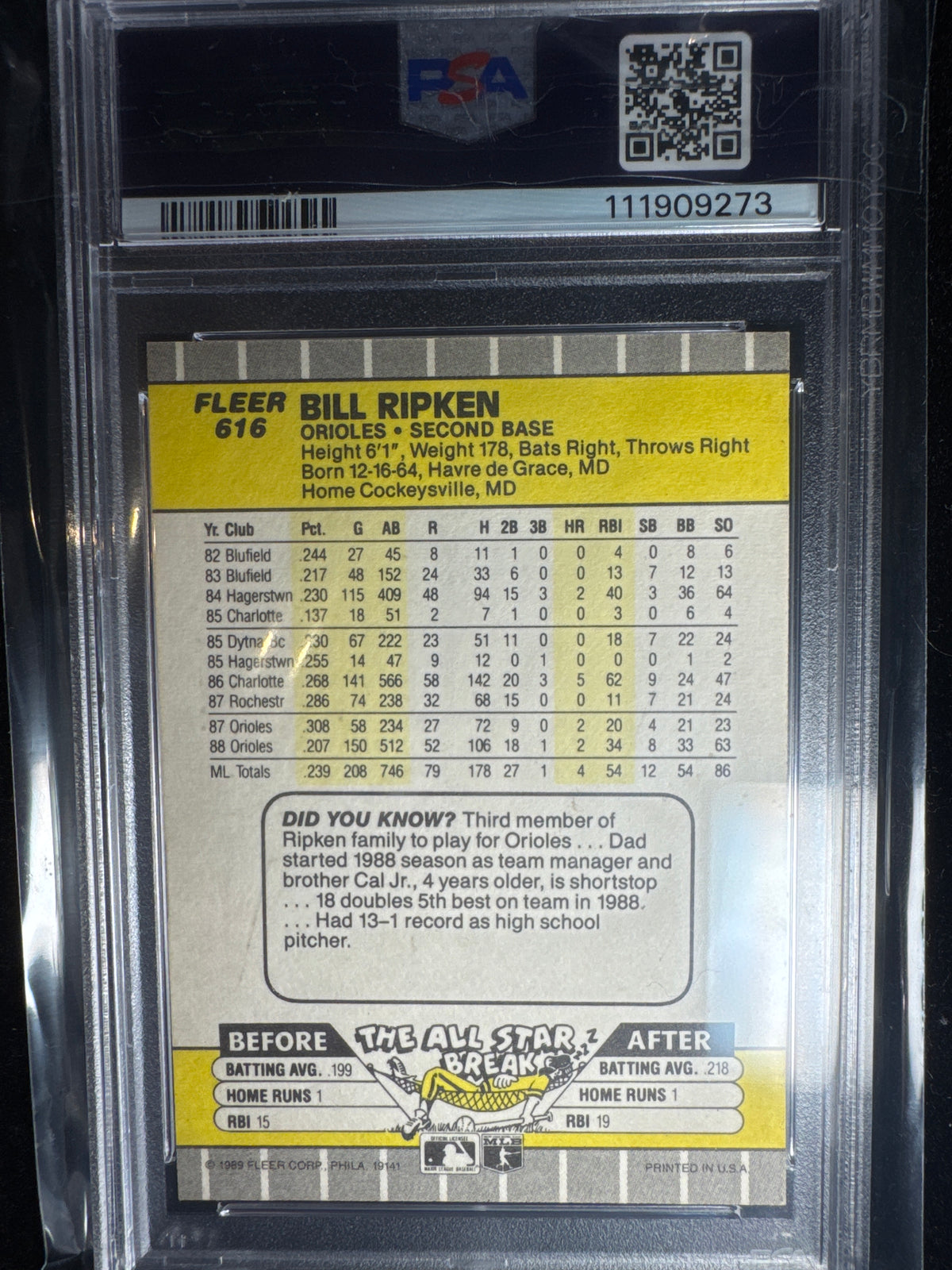 Bill Ripken
