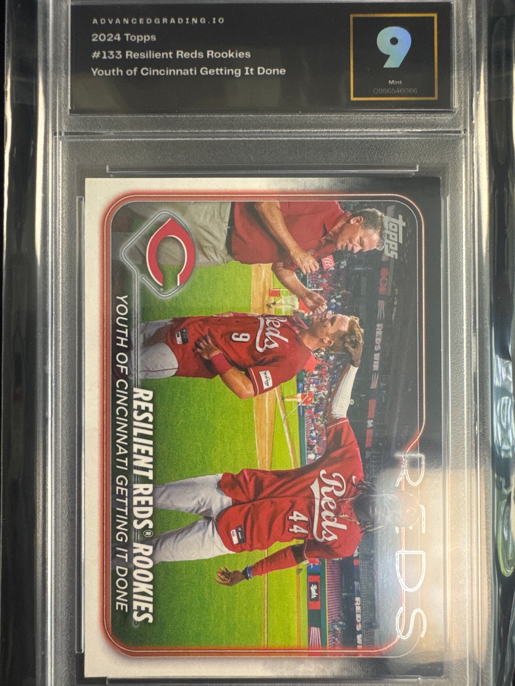 Resilient Reds Rookies