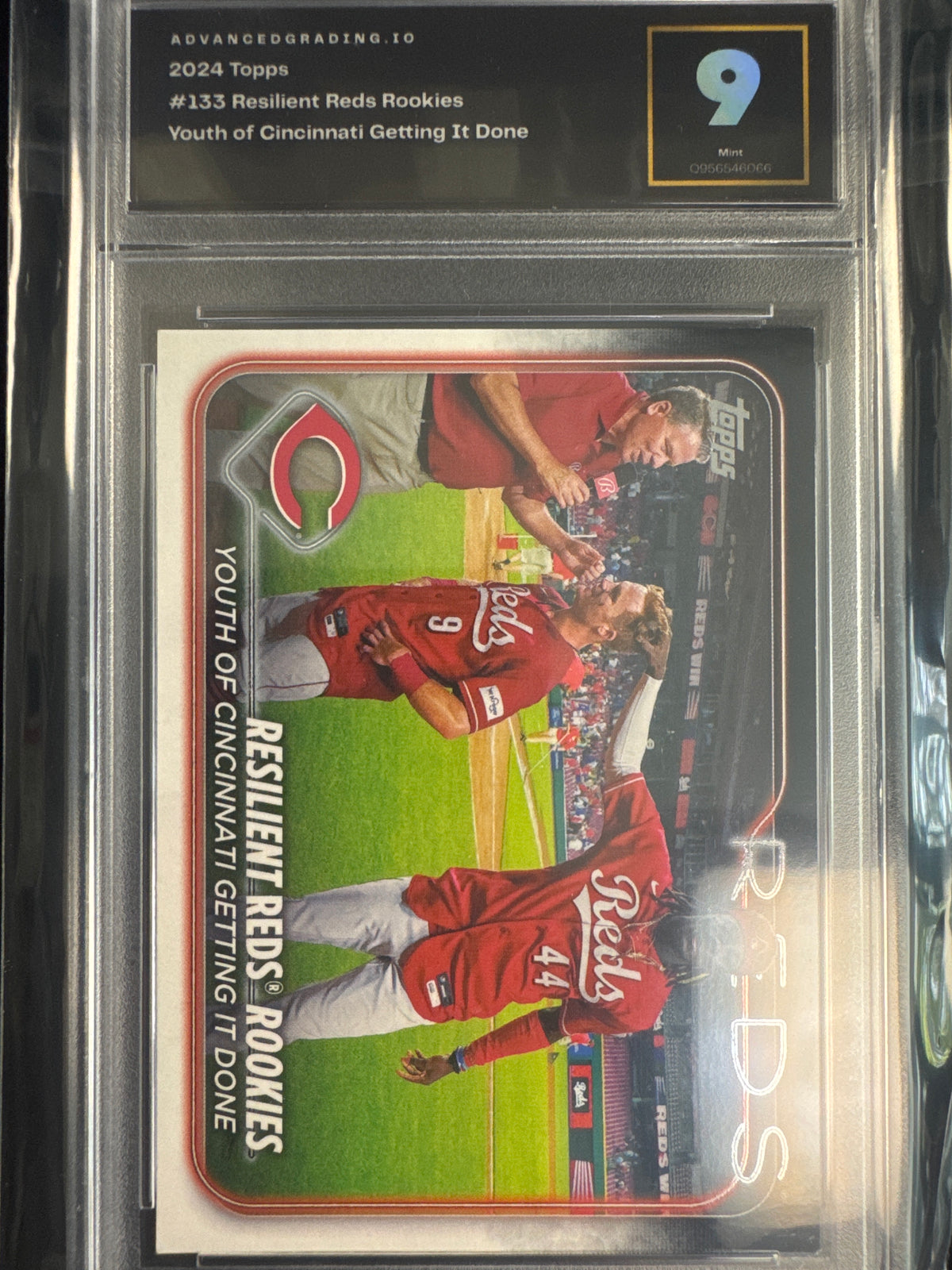 Resilient Reds Rookies