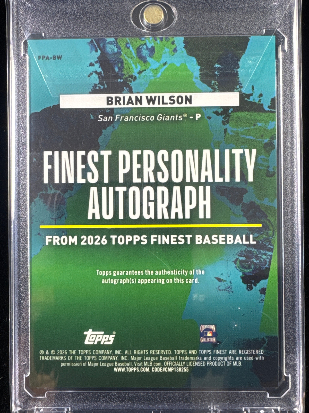 Brian Wilson