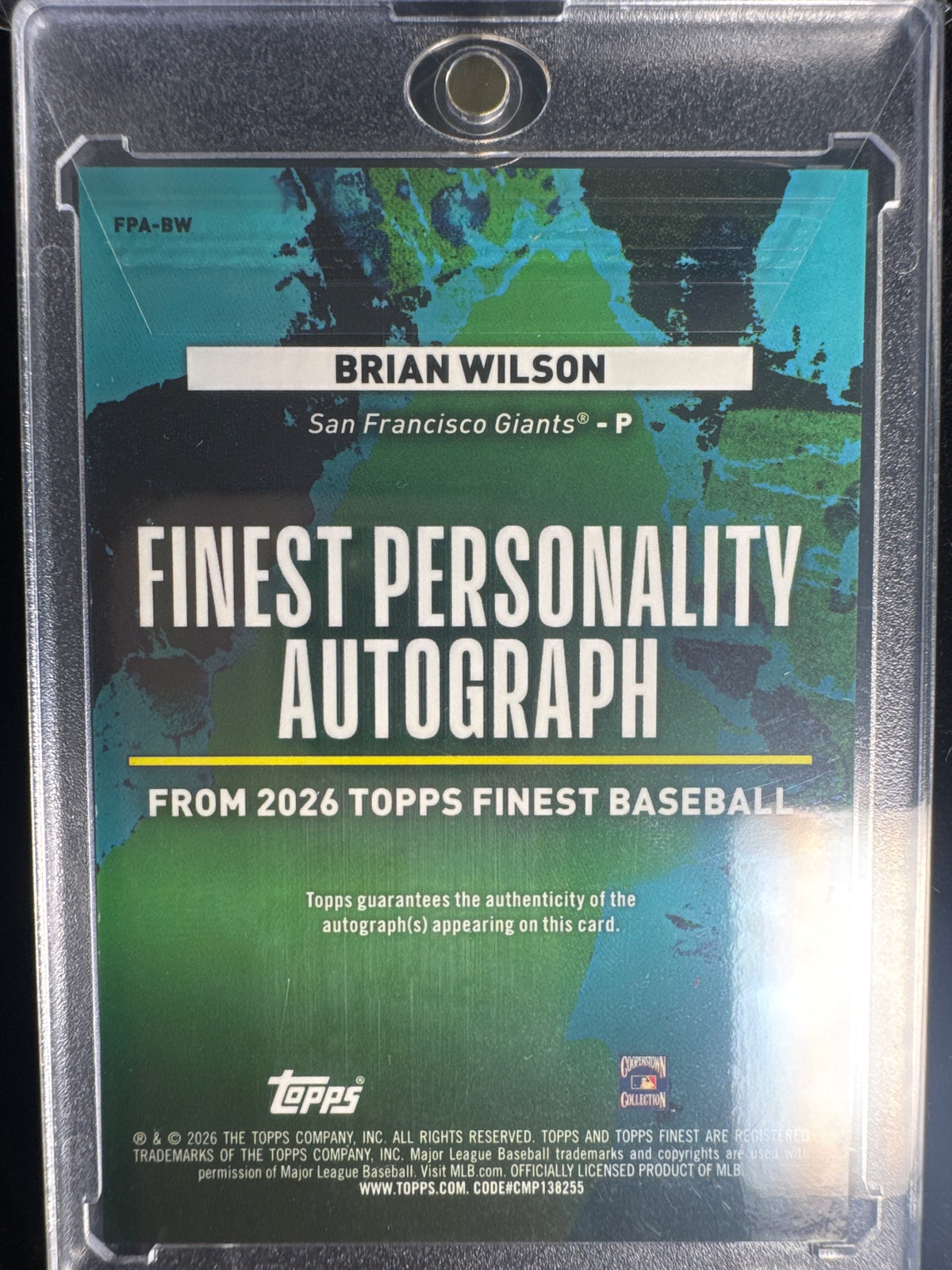 Brian Wilson