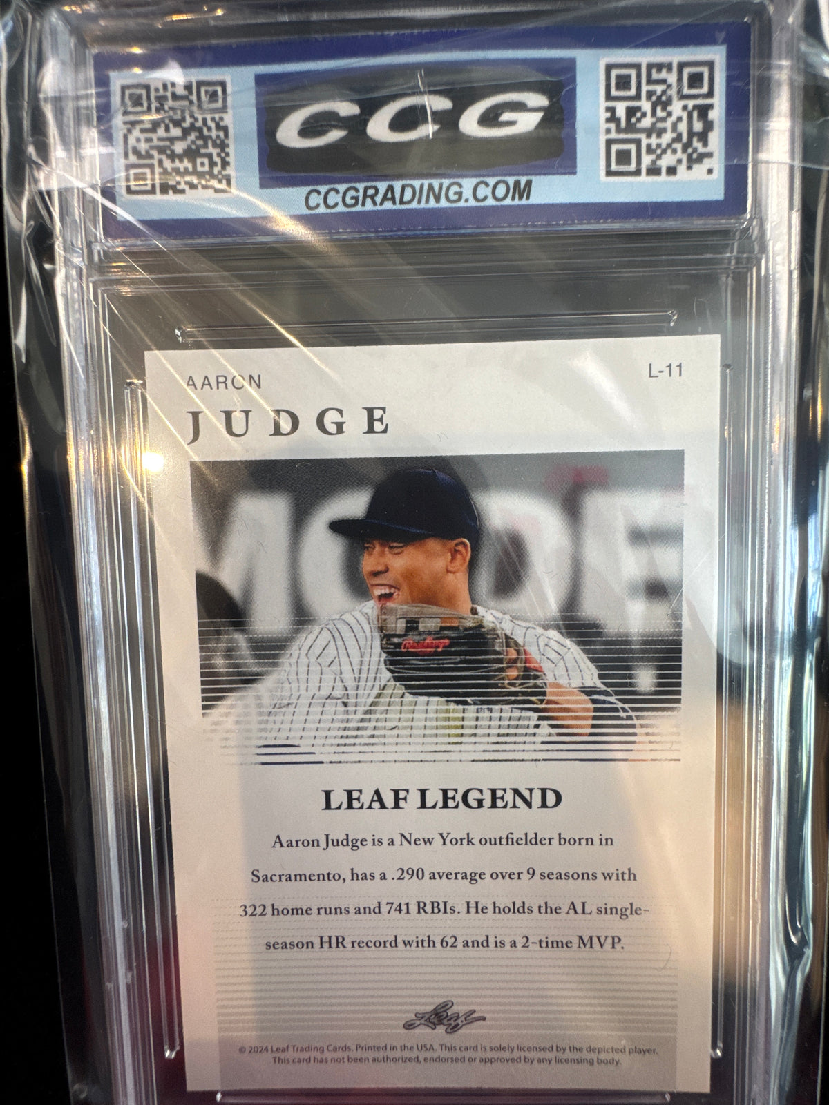 Aaron Judge