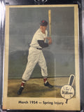 Ted Williams