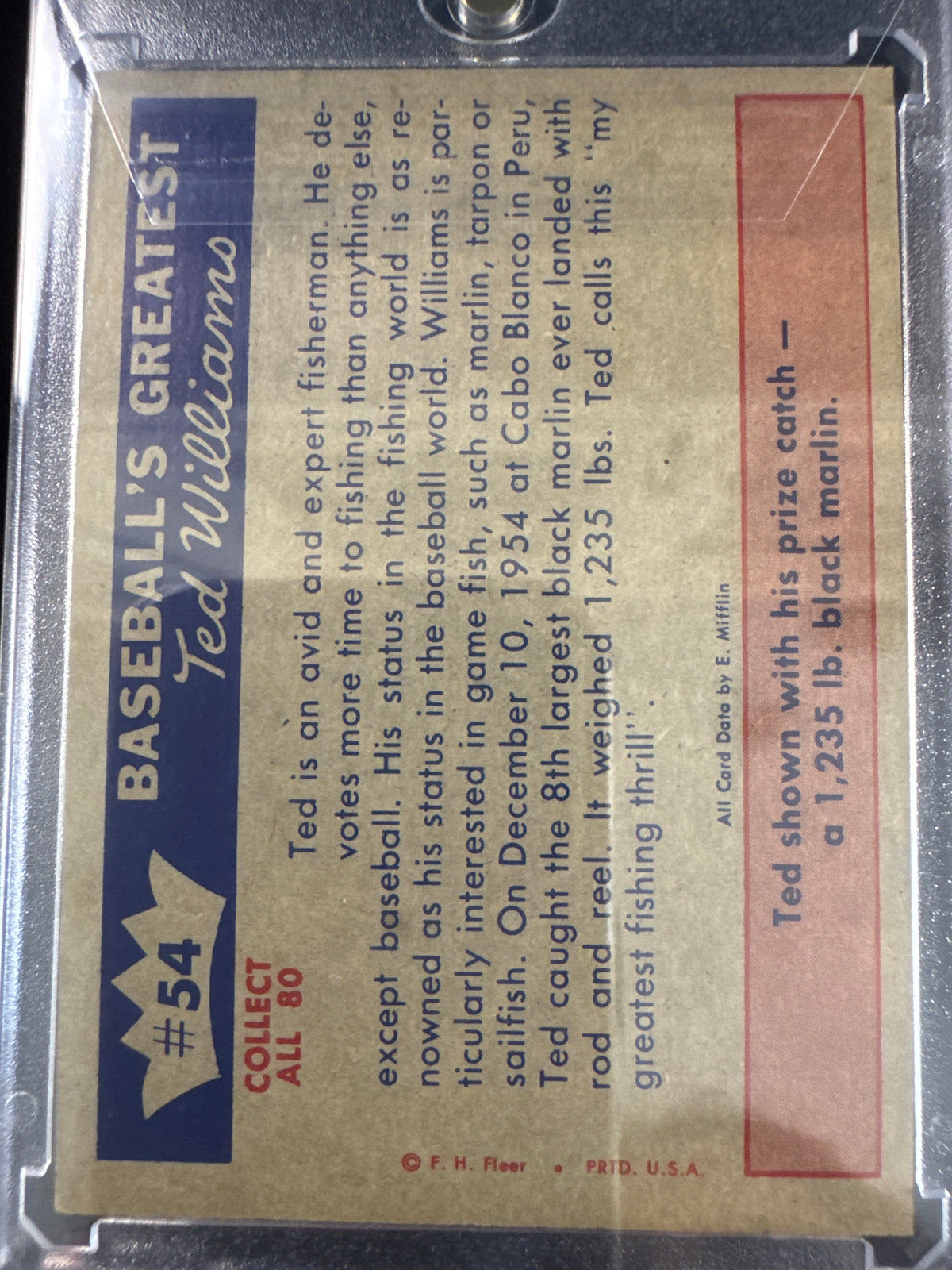 Ted Williams
